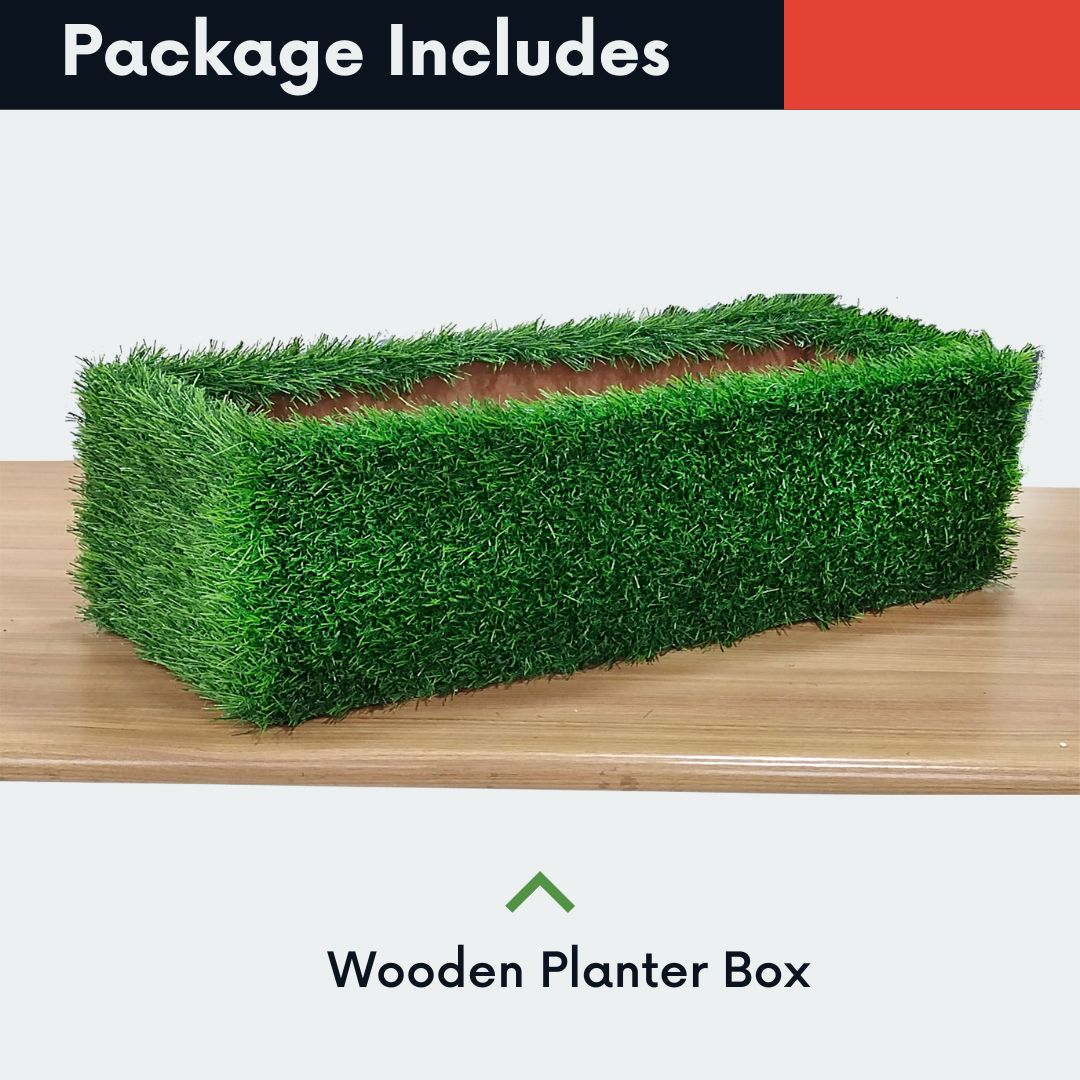 Recto - Wooden Planter Box - Green Grass