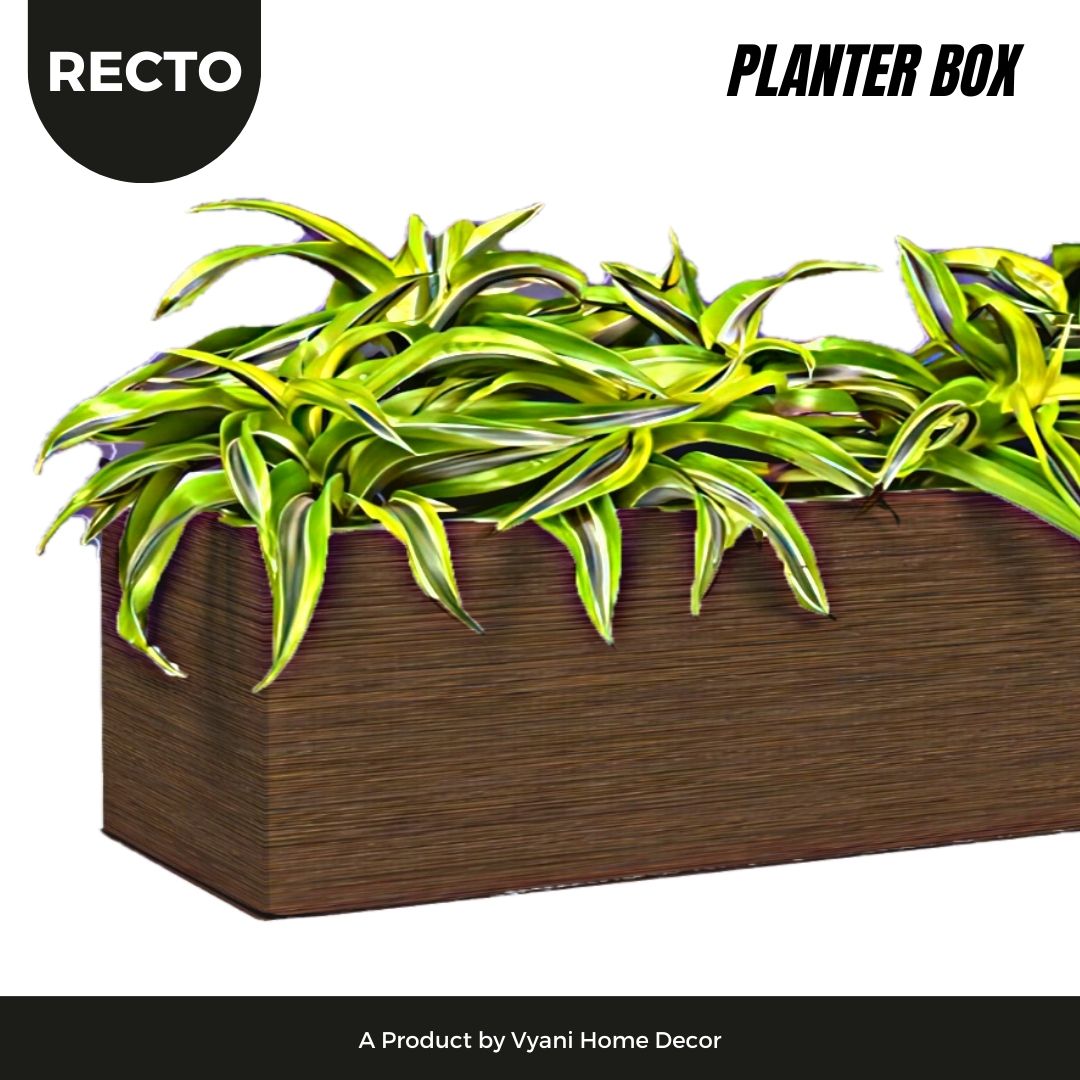 Recto - Wooden Planter Box - Wenge