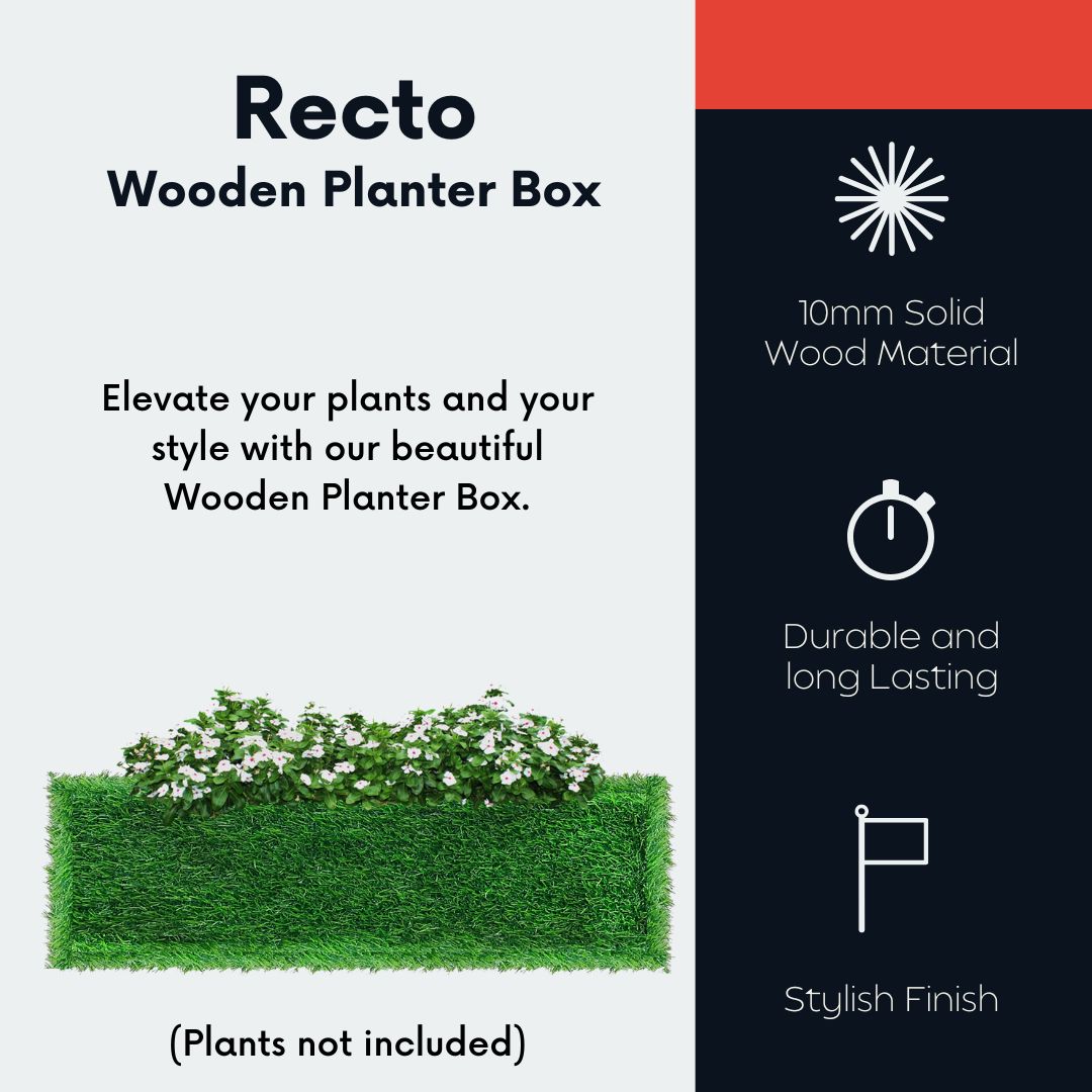 Recto - Wooden Planter Box - Green Grass