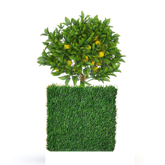 Recto - Wooden Planter Box - Green Grass